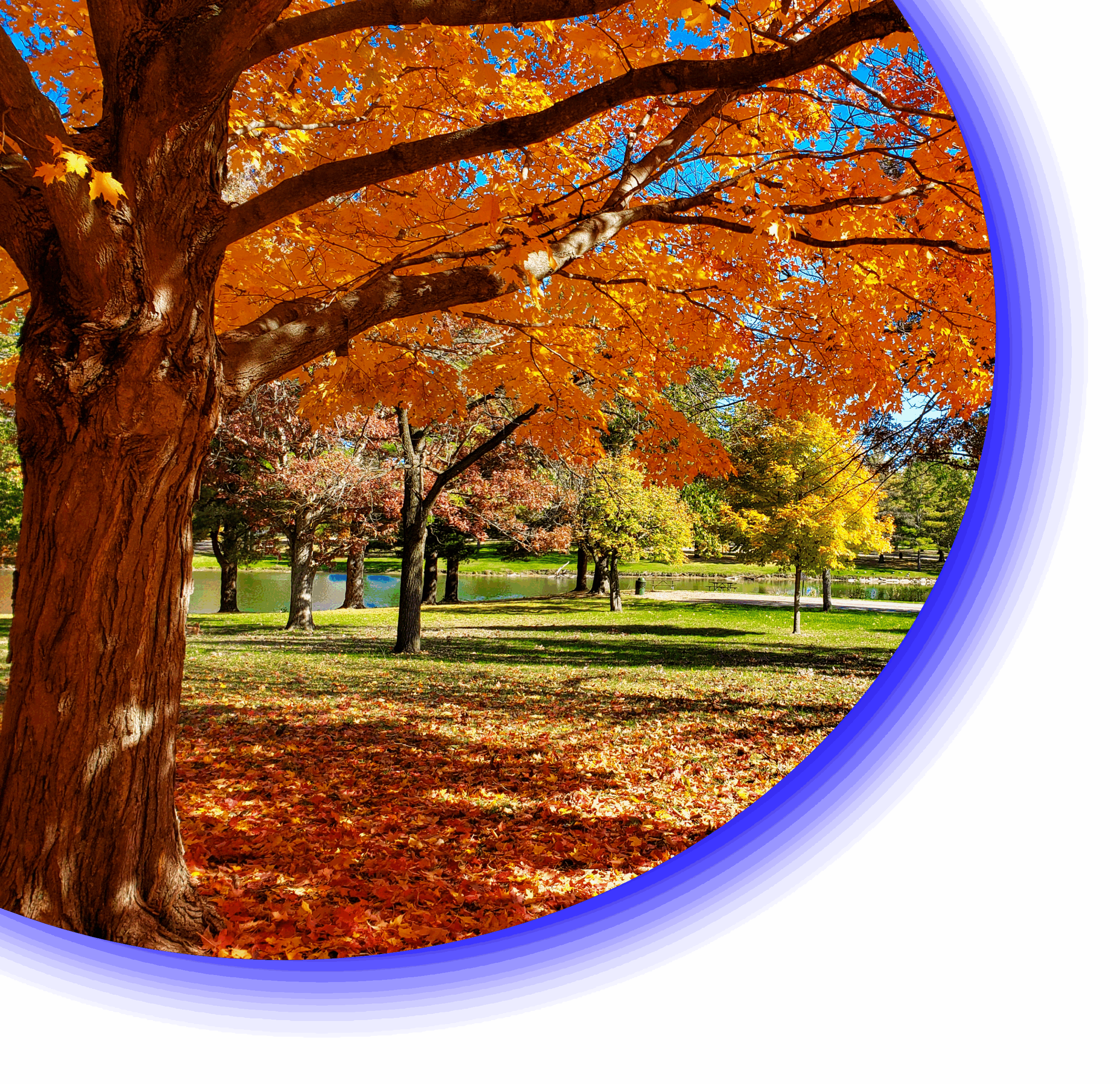 Fall Scenery.