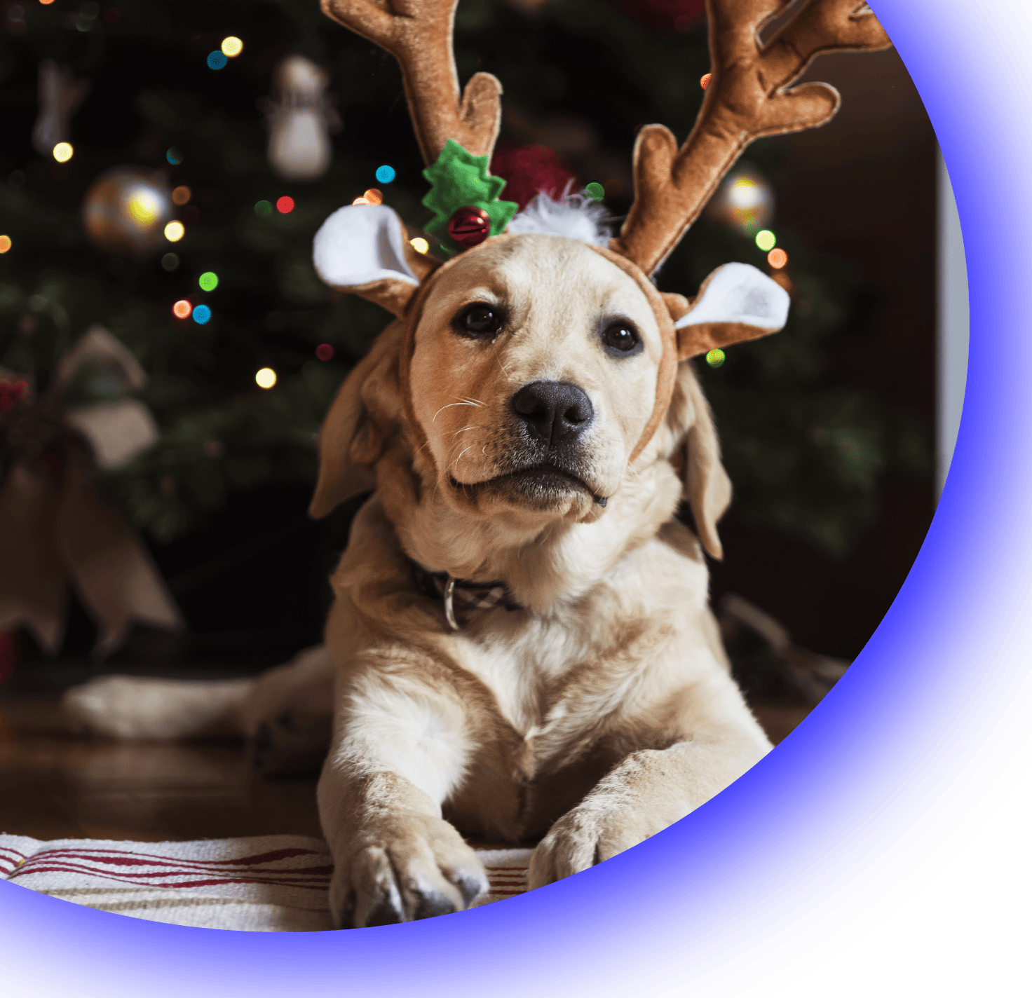 Bruening Heating & Air Conditioning HVAC Services IL