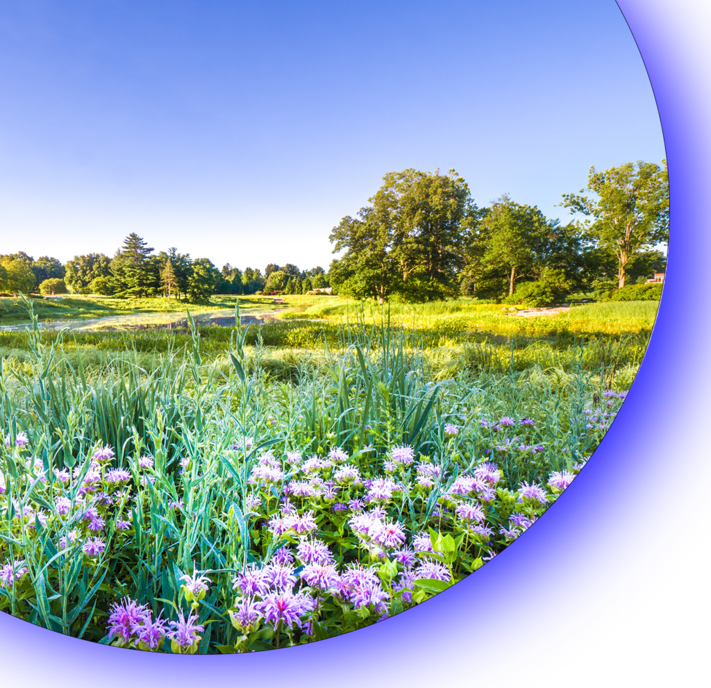 spring-banner